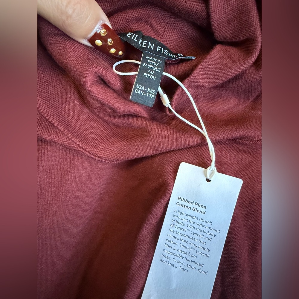 Eileen Fisher Turtleneck Top Redwood Sz XXS Organic Cotton Lyocell Soft Knit NWT - Picture 2 of 7